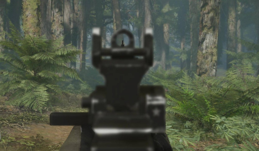 Example of a rifle with only iron sights, illustrating the rule to remove all attachments.