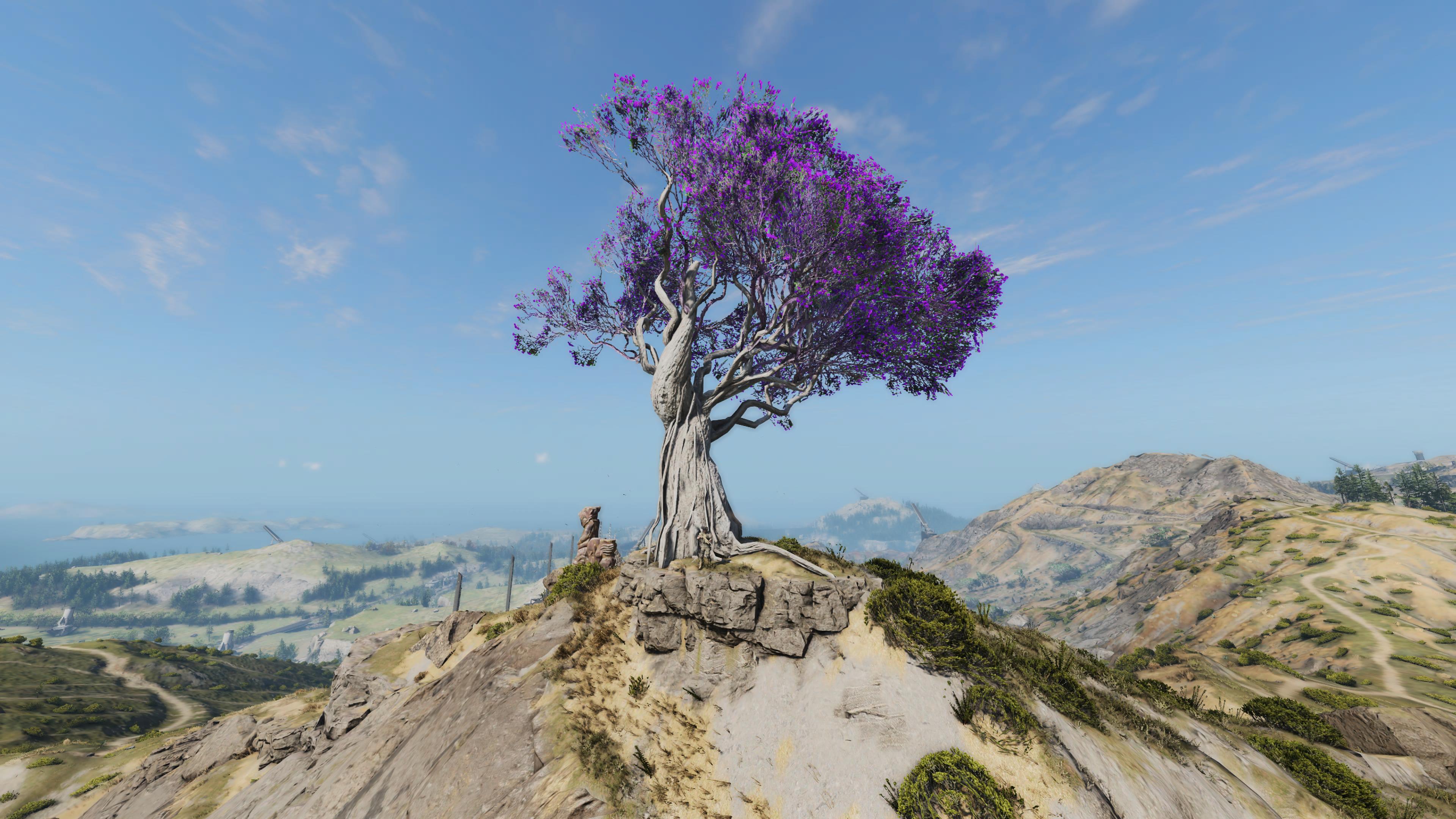 Plant a Tree oddity
